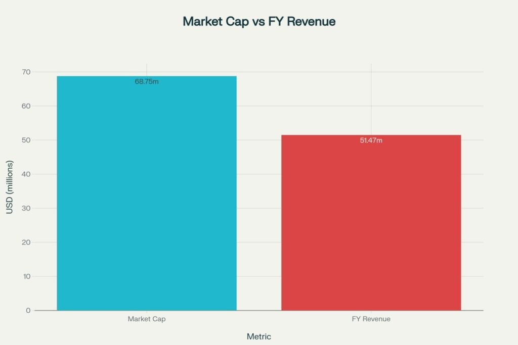 Size-comparison-of-XCH-market-capitalization-vs.-reported-FY-revenue